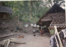 Chang-Mai-rieten-hut-kip-dorp-Thailand
