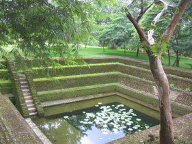 Anuradhapura-Bodhi-Tree-boom-stappen-archeologie-tempel-Jungle-Ruiines-Koninkrijk-Sri-Lanka