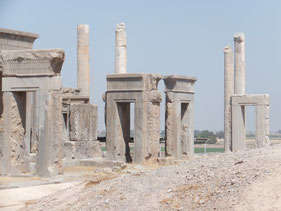 Persepolis-Iran-columns-Darius-Perzië