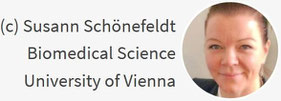 susann.schoenefeldt@qioniq.at
