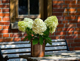 weisse Blumen auf einem Holztisch