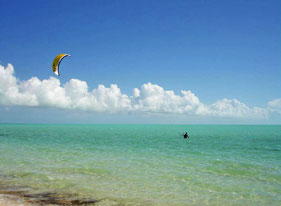 Turks et Caïcos /Providentiales /Baie de Grace (Grace bay beach) /Bahamas 