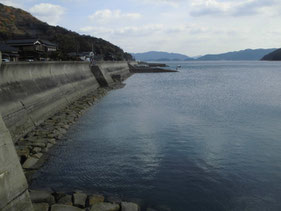 大島漁港～道路沿い　はこちらからどうぞ