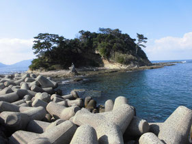 柏原漁港　はこちらからどうぞ