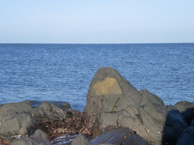 角島　牧崎地磯でエギング！　はこちらからどうぞ