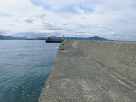 サヨリの釣り場　下関市