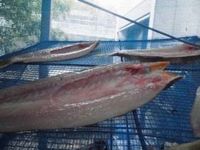 魚の干物の作り方　はこちらからどうぞ