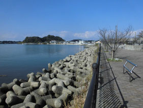 江川河畔公園周辺　はこちらからどうぞ