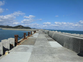 サヨリの釣り場　北九州市門司区