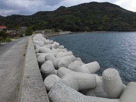 メバルの釣り場　長門市