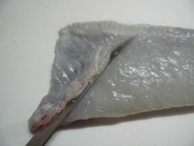 ヒラメの腹骨をすき取る