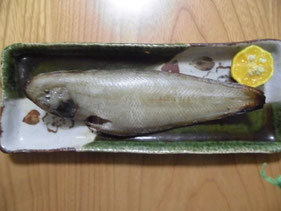 魚の干物の作り方　はこちらからどうぞ