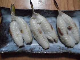 魚の干物の作り方　はこちらからどうぞ