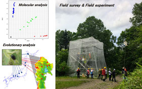 Eco-evolutionary feedback in tree-associated arthropod communities