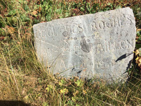 Plaque n°5