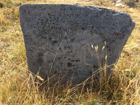 Plaque n°6