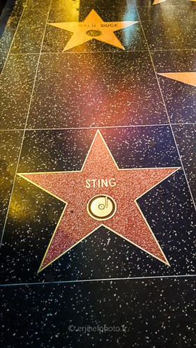 californie, états unis, usa, road trip california, hit z road california, byzegut, los angeles, L.A, rachel jabot ferreiro, erjihef photo, walk of fame