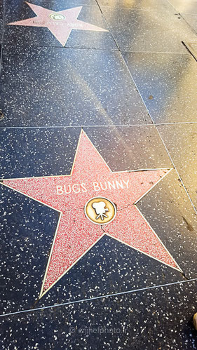 road trip, road trip california, hit z road by zegut, rtl2, californie, etats unis, usa, rachel jabot ferreiro, erjihef photo, L.A, Los Angeles, Walk of Fame