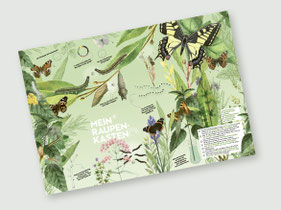 Schmetterling-Plakat / Poster