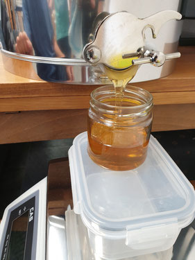 Honigglas wird mit Honig aufgefüllt. Honig wird in Glas abgefüllt.