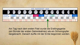 Schwingopfer Passah Erstlingsfrüchte