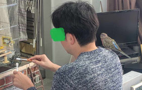 写真➁ 肩にのるさんご