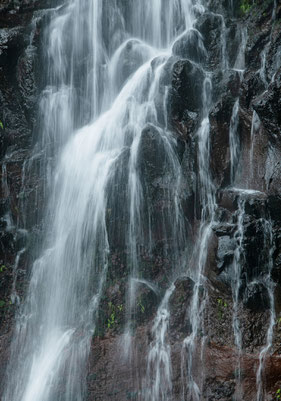 Madeira, 25 Fuentes