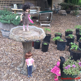 bird feeder, Dianna Effner Little Darling, plant nursery