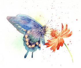 蝶と花　水彩画　福井良佑  / Watercolor by Ryoyu Fukui