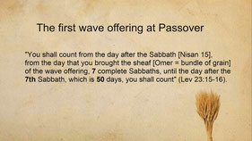 1st Firstfruits Wave Offering at Passover
