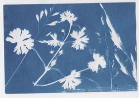 Foto: Florina Limberg