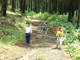 林道なので　道幅は広いです。 