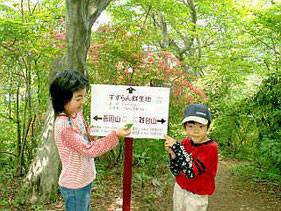 ここで吾国山と難台山の分岐になります。 