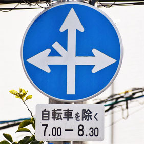 異形矢印標識(指定方向外進行禁止)。広島県広島市にある。