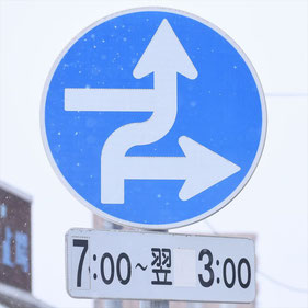 異形矢印標識(指定方向外進行禁止)。北海道函館市にある。
