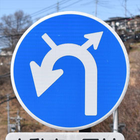 異形矢印標識(指定方向外進行禁止)。長野県諏訪市にある。