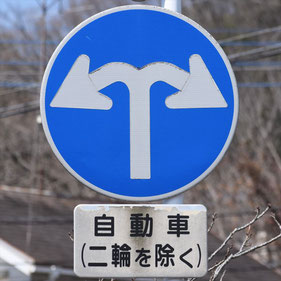 異形矢印標識(指定方向外進行禁止)。栃木県足利市にある。