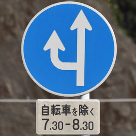異形矢印標識(指定方向外進行禁止)。広島県広島市にある。