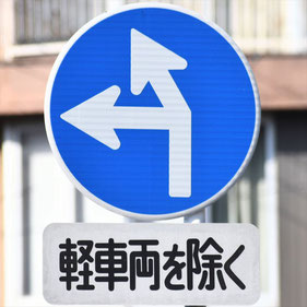 異形矢印標識(指定方向外進行禁止)。静岡県伊東市にある。