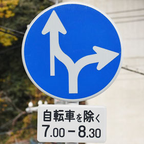 異形矢印標識(指定方向外進行禁止)。広島県広島市にある。