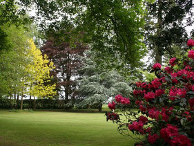 Le Parc à l'anglaise du Parc floral de Digeon - Parcs et Jardins de Picardie