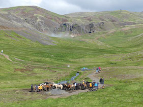 Buitenrit-IJslandse-Paarden.jpeg