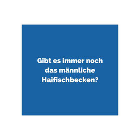Susanne Kruse Coaching Schmuckbild Social Media Beitrag Onlinekurs "Das neue Führen"