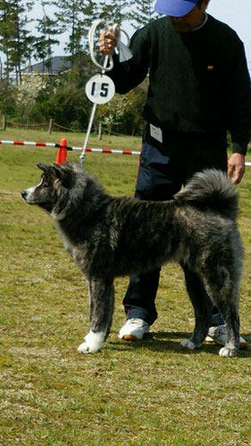 一　×　神楽　　八千代荘　　owner　片野　勇