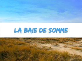 baie de somme-picradie-marquenterre-camping-location-vacances-famille-la Haie Penée-tobogan aquatique-salle de sport-mobile home-mer-dune de sable-week end