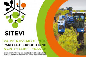 Flyer SITEVI