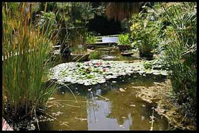 Jardín Botánico de la Universidad de València