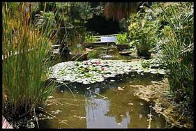  El Jardín Botánico de Valencia alberga unas 4500 especies, incluyendo una importante colección de palmeras, plantas exóticas, cactus y plantas tropicales, distribuidas en diferentes áreas e invernaderos.