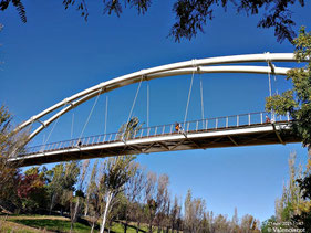 Pasarela vista desde un lado del Parque de Cabecera de Valencia 