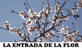 La entrada de la Flor, es una tradicional fiesta que se celebra con los almendros en flor en la Comunidad Valenciana.